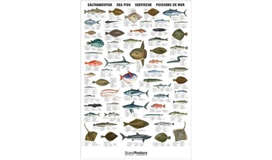 Plakat med fiskemotiver.