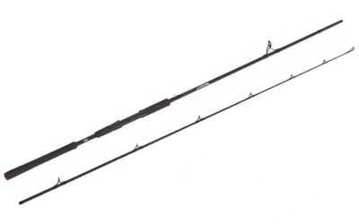 Abu Garcia Beast Pike fiskestang med EVA-håndtag og rustfri øjer