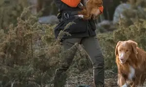 pinewood dame vandre bukser, dame i skov med hunde